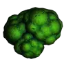 Broccoli item icon