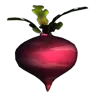 Redbeet item icon in Scrap Mechanic